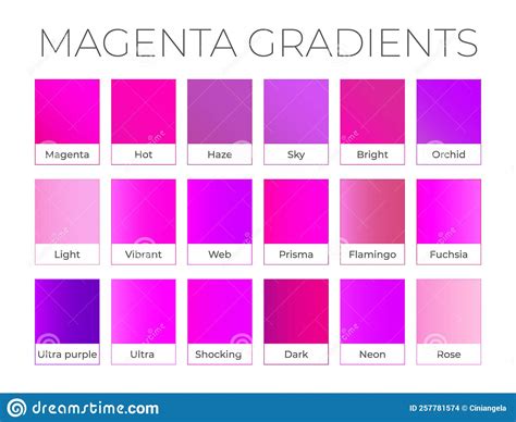 Magenta Pink Gradient Collection With Color Names Stock Vector