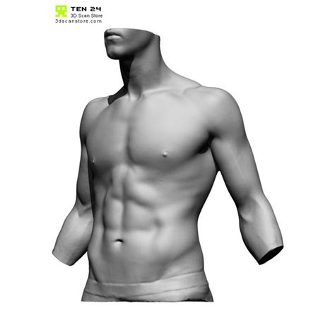 The anatomical basis of clinical practice, 14th edition. Male Torso Scan Bundle
