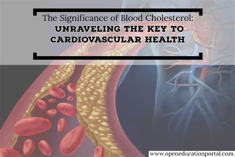 The Significance Of Blood Cholesterol Unraveling The Key To