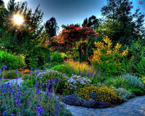 Słońce Piękny Ogród Tapetytjapl