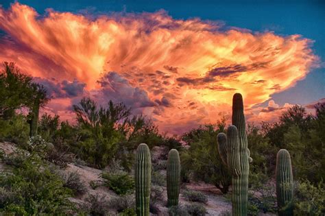 Pin By Maggie Grom Lenhard On Beautiful Nature Arizona Sunset
