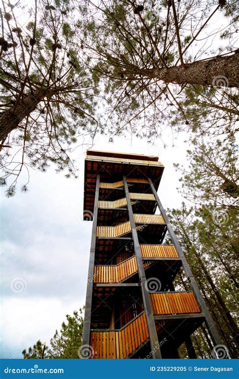 Birdwatching Tower Bird Watching Observation Tower In The Forest Stock