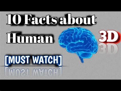 Amazing Facts About The Human Brain YouTube