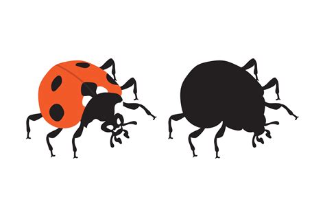 Ladybug Silhouettes And Illustrations