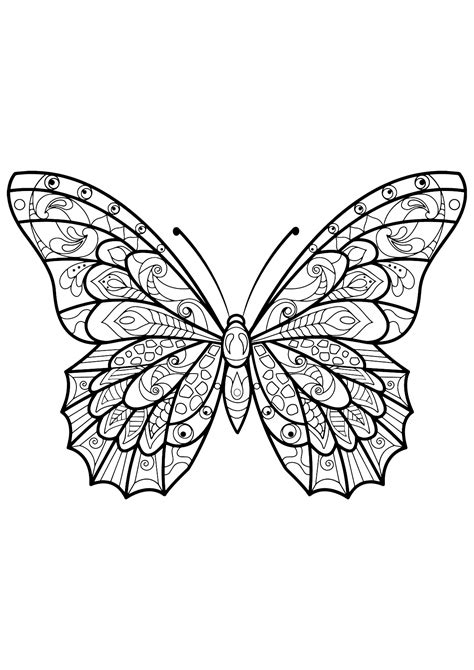 Butterfly Beautiful Patterns 3 Butterflies And Insects Adult Coloring Pages