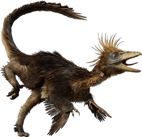 Troodon Walking With Dinosaurs Wiki Fandom Powered By Wikia