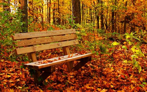 Autumn Benches Wallpapers Wallpaper Cave