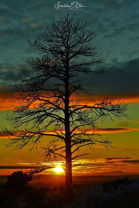 Lone Tree Banded Sunset Bliss Photographics Lone Tree Sunset