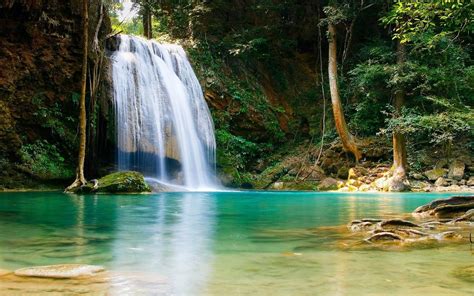 Image House Latest Hd Wallpapers Lovely Waterfall In Paradise