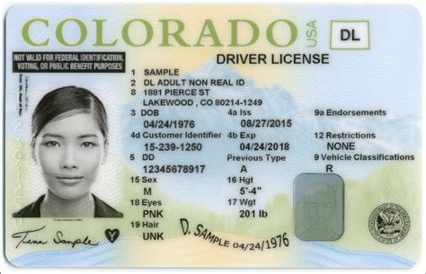 Glenwood Springs Office Will Now Provide Drivers Licenses For