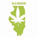 Medical Marijuana Card Chicago Images