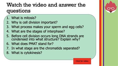 Aqa Gcse Biology Mitosis And The Cell Cycle Teaching Resources