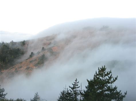 More Urban Heat Less Summer Fog On California Coast Geospace Agu