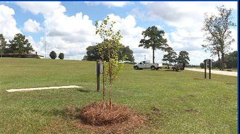 Trees Planted At Eastgate Park In Dothan