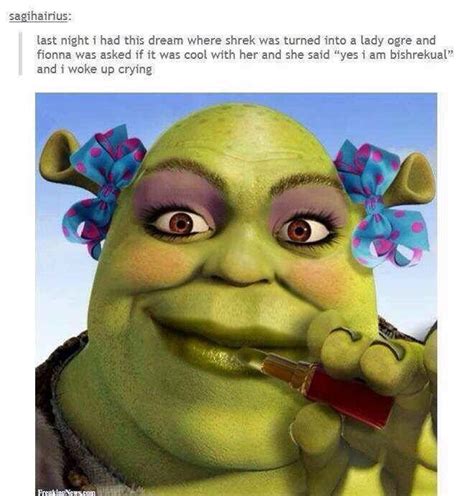 Xd Wooow Shrek Memes Shrek Tumblr Funny
