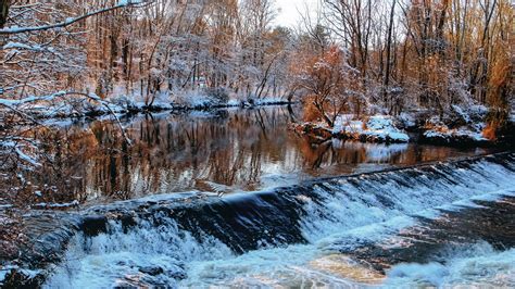Winter Forest Trees River Streams Wallpaper Nature And Landscape