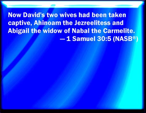 1 Samuel 305 And Davids Two Wives Were Taken Captives Ahinoam The