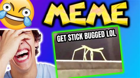 Meme Get Stick Bugged Stickbug Meme Best Meme Compilation Youtube