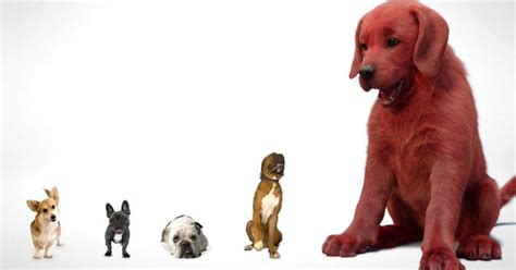 First Look at Clifford The Big Red Dog, Opens November 2021