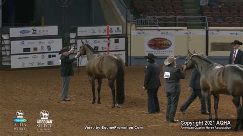 2021 Aqha Select 3 Year Old Mares Youtube