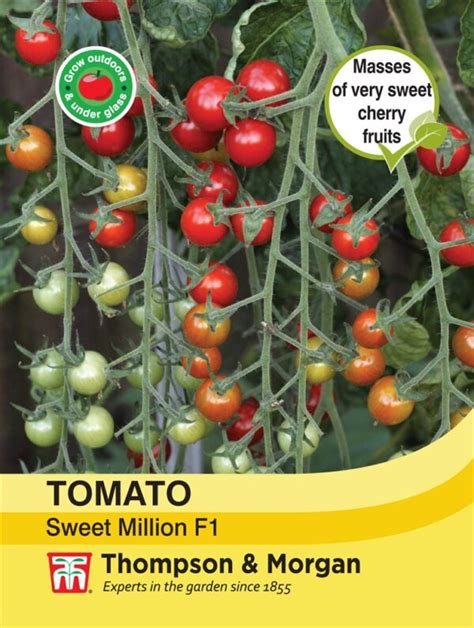 tomato sweet million f1 iron acton garden centre