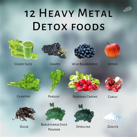 Detoxify Your Body From Heavy Metals With These Natural Heavy Metal