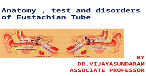 Eustachian Tube Anatomy Test And Disorders Drvijaya Sundarm 2003