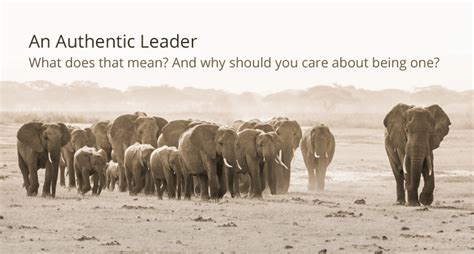 An Authentic Leader What Does That Mean And Why Should You Care About