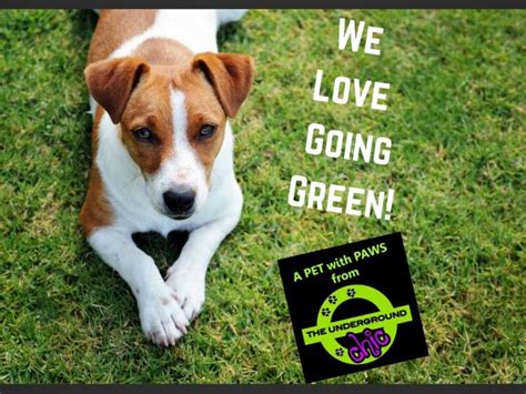 Origins skin care products are known for their natural ingredients and effective results. 🐶 🌍 💟 ♻ Made from Eco-Friendly Vegan Cruelty Free Products ...