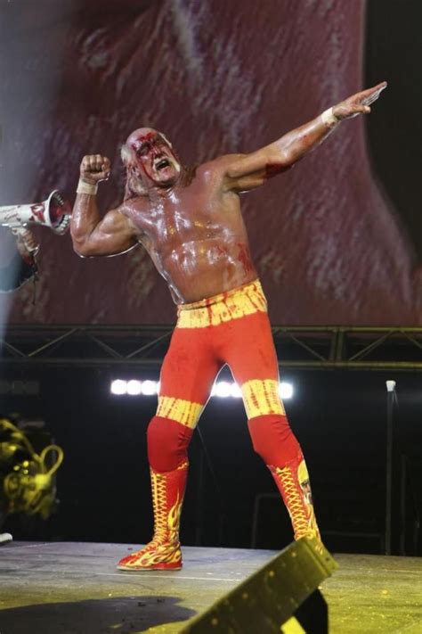 Hulk Hogan Pose See Best Of Photos Of The Wrestling Legend Hulk