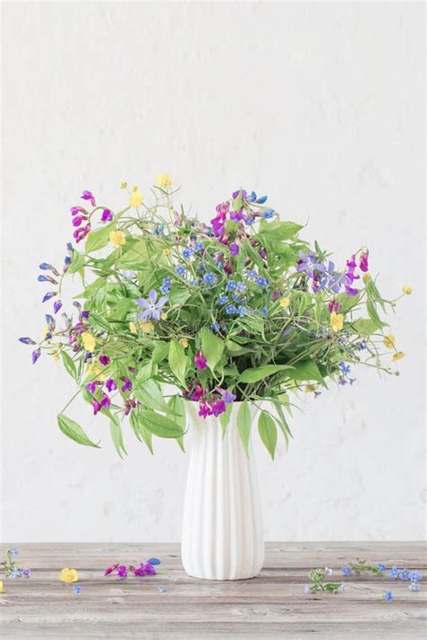 Wild Flowers In Vase On White Background Stock Photo Image Of Herbal