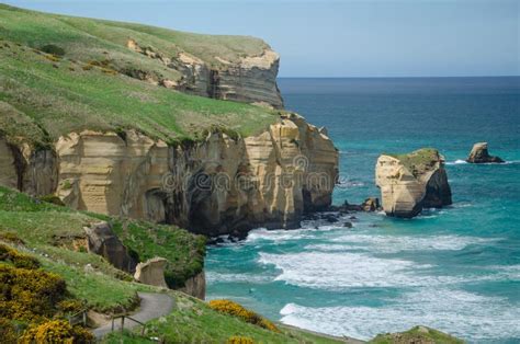 High Angle Shot Of The Tunnel Beach In Dunedin New Zealand Stock Image