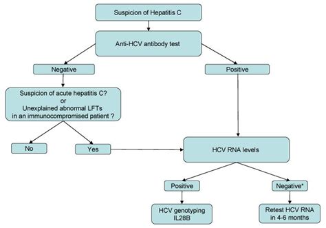 Diagnostic Algorithm For Hepatitis C Infection Medical Laboratory