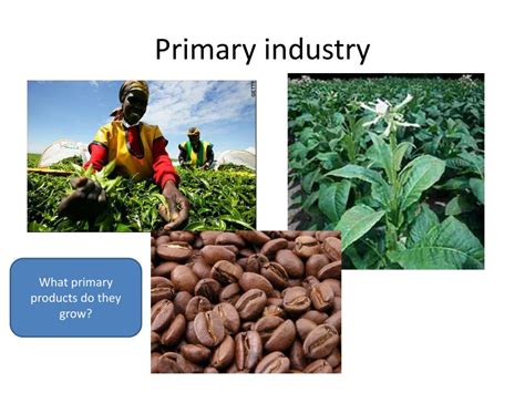 Ppt Factors Effecting The Location Of Industry In Kenya Powerpoint