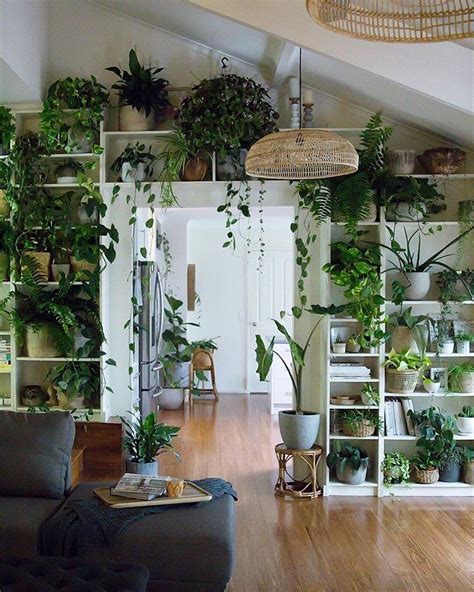 Home Decor Ideas With Plants