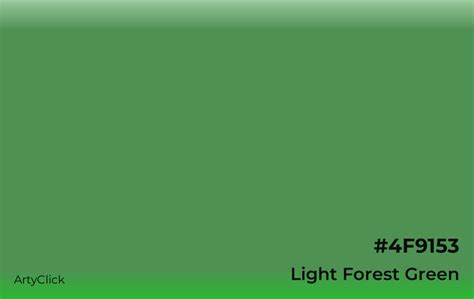 Light Forest Green Color Artyclick
