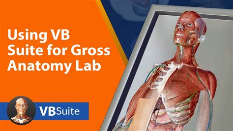Using Visible Body Suite For Gross Anatomy Lab Youtube