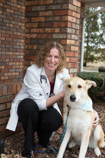 meet our team town and country veterinary hospital