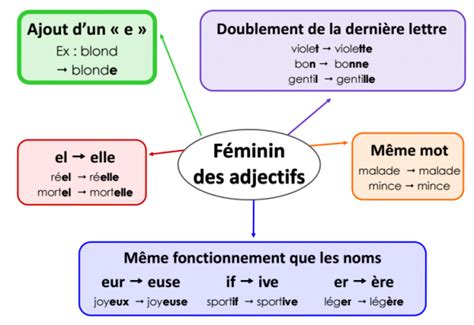 Le F Minin De L Adjectif Le F Minin Des Adjectifs Adjectifs Adjectifs Francais