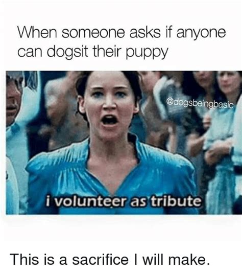 Find and save images from the i volunteer as tribute! collection by ann (anntarticrider) on we heart it, your everyday app to get lost in what you love. 25+ Best I Volunteer as Tribute Memes | Should Memes ...