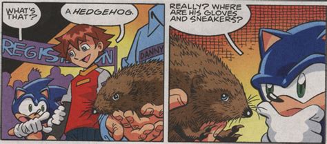 Sonic Meets A Real Hedgehog Childhood Enhanced Know