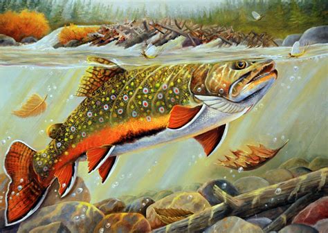 Stamp Design Brook Trout By Richard Goodkind Fly Fishing Art Brook