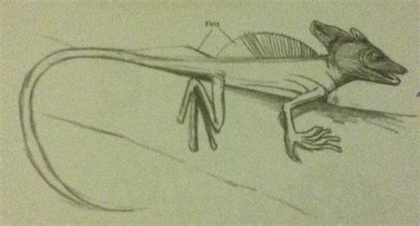 How To Draw A Basilisk Lizard Artist Blog