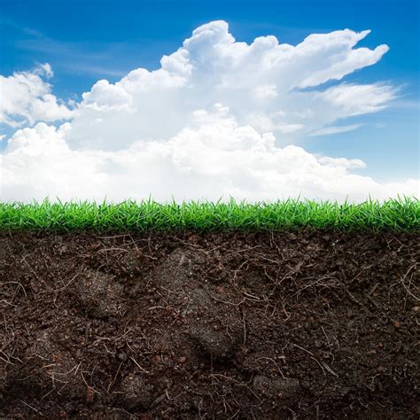 The Secret Of Soil Science For Healthy Lawns And Gardens Zero Bull