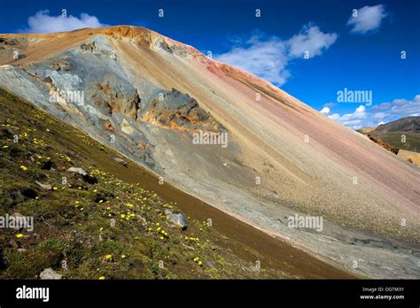 Brennisteinsalda Vulcano In The Landmannalaugar Region Near The Hekla