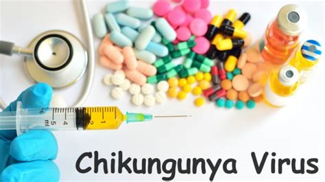 Chikungunya Cases On A Rise Since 2006 Ndtv Food