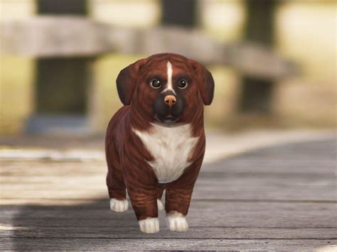 Dog Sims 4 Updates Best Ts4 Cc Downloads