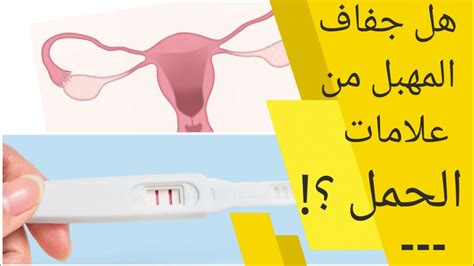 جفاف المهبل قبل الدورة من علامات الحمل؟ علامات الحمل الاكيده أسباب جفاف المهبل بعد او قبل