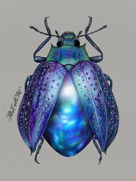 I Drew Beetles That Hide Colourful Minerals Underneath Their Shiny Wing Cases In 2020 Beetle