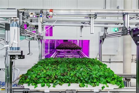 Robots Take Vertical Farming To New Heights